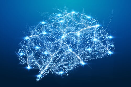 A brain lit up representing neuropsychological rehab.