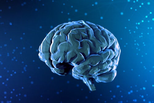 Blue digital illustration of the brain.