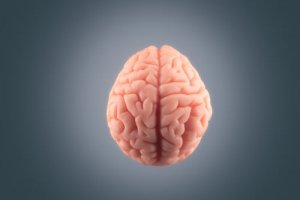 What Happens to Your Brain Before You Die