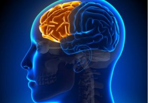 Dysexecutive Syndrome: When the Frontal Lobe Fails