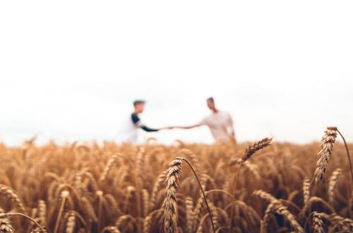 Two men in a field.