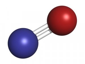Nitric Oxide: The Amazing Gaseous Neurotransmitter