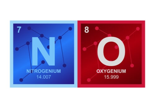The composition of nitric oxide.