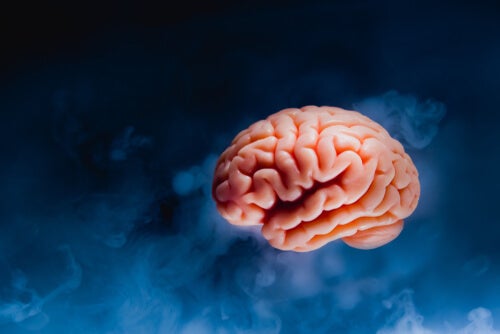 A brain on a dark blue background.
