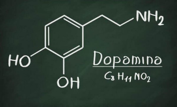 The chemical structure for dopamine shown in chalk on a blackboard. 