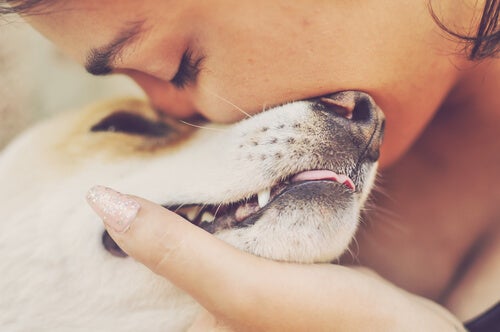Pet Dogs are Therapeutic for People with Borderline Personality Disorder