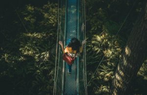 Dutton and Aron and the Misattribution of Arousal Theory