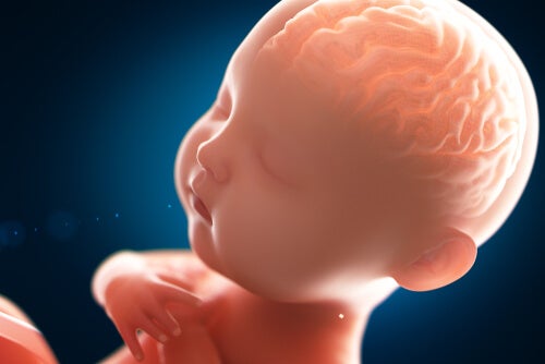 The Mind of a Baby - What's it Like Inside?