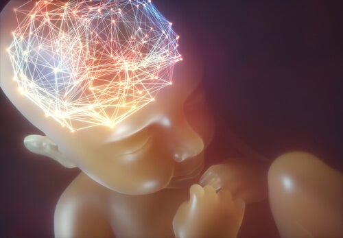 A baby neuronal synchronization.