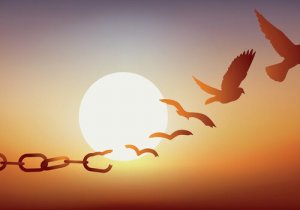 What's the Purpose of Bail?