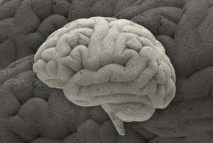 Three Fascinating Neuroscience Cases