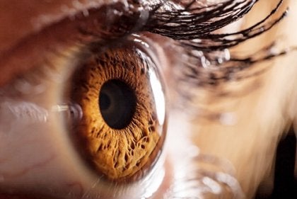 ett närbildsfoto av ett brunt öga.