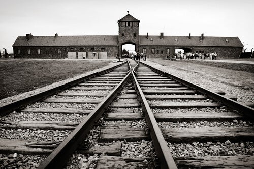 Train tracks leading into a concentration camp.