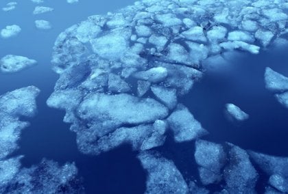 A human profile in floating ice representing dementia pugilistica.