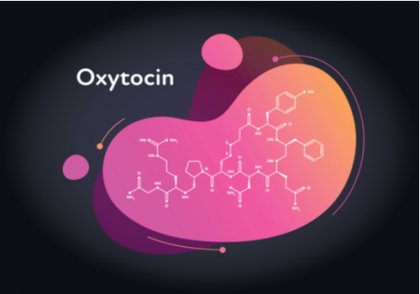 The chemical structure of oxytocin.