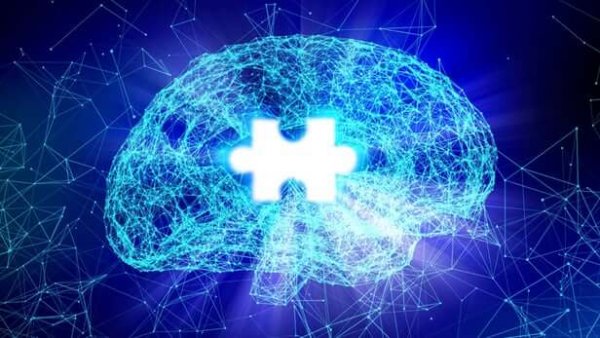 A brain with a jigsaw piece.
