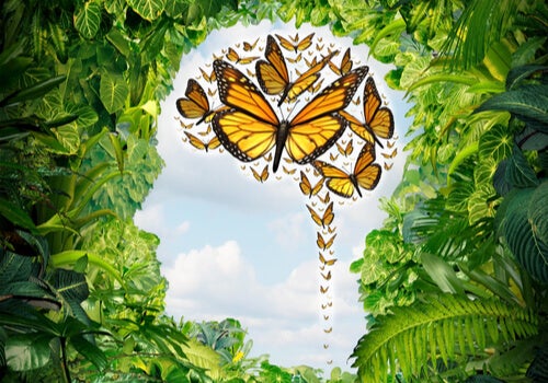 Seven Ways of Understanding Psychology