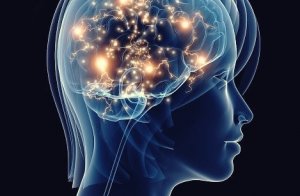 Untreated Depression Has Neurodegenerative Effects