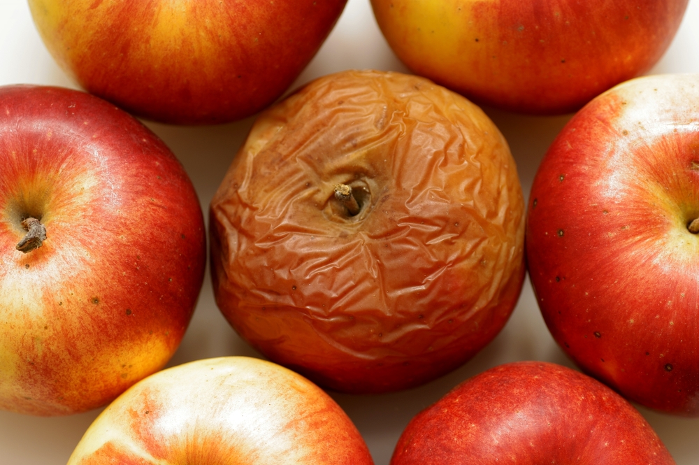 The Rotten Apple Theory In The Workplace Exploring Your Mind