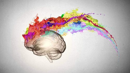 A brain exploding with colors.