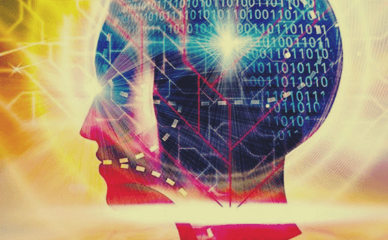 Binary numbers in the brain.