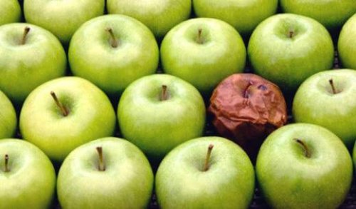 The Rotten Apple Theory in the Workplace
