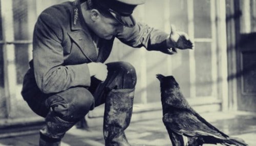 A soldier with a crow.