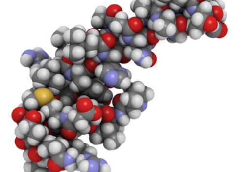 The Role of Orexins in Sleeping and Eating