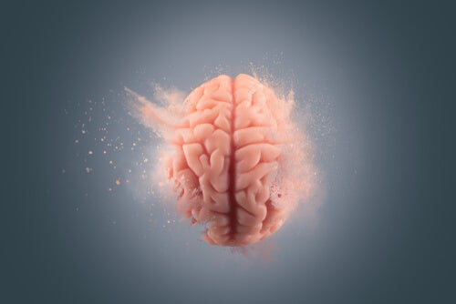 The Effects of Cocaine on the Brain