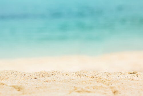 If bettering the environment is your goal, a great idea is to clean the beaches.