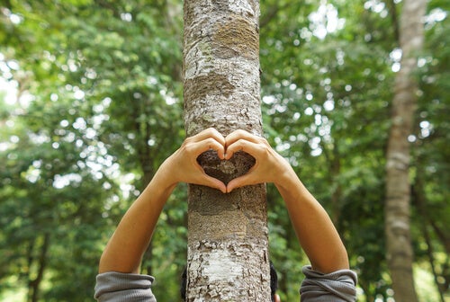 Hands making a heart over a tree.