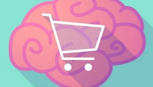 A consumer's brain.