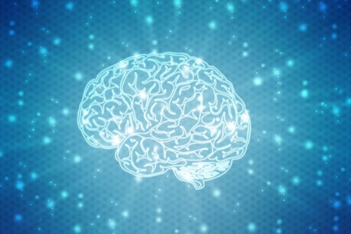 A brain lit up as a response to anti-inflammatory drugs.
