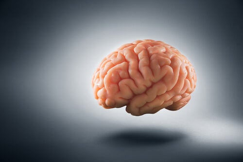 Poverty changes your brain.