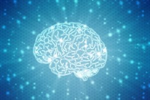 What Are Neuromyths?