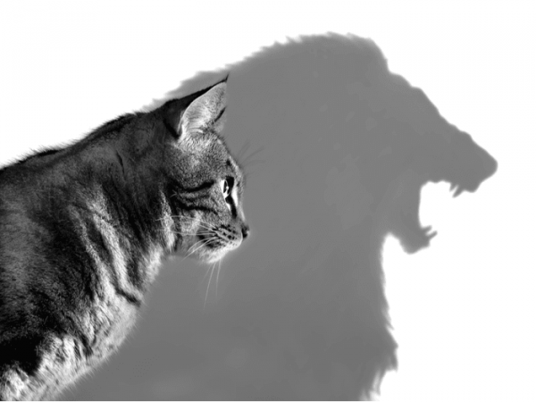 The Rathus Assertiveness Schedule