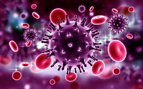 The HIV virus.