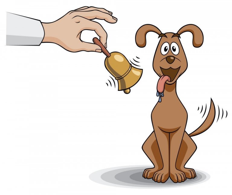 What's Classical Conditioning in Psychology?
