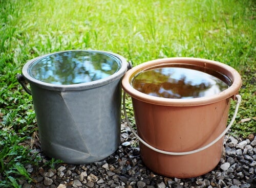 Two buckets filled with water.