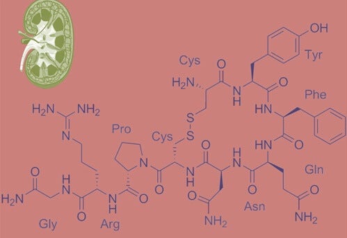 A chemical diagram of vasopressin the anti-diuretic hormone.