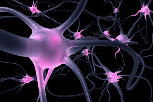 An abstract image of OLM cells.