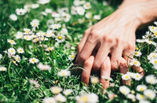 Two people holding hands in a field of flowers.