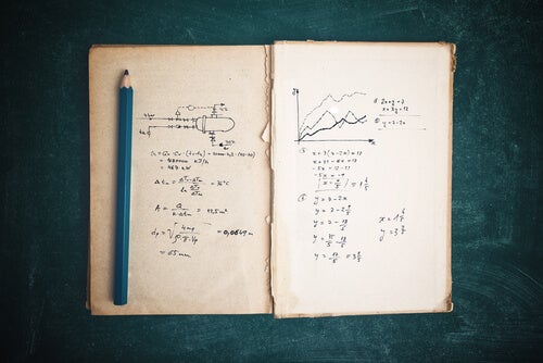 Writings from Sofia's notebook.