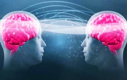 An image of two brains sharing a "wavelength". 