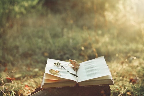 An open book in a sunny field. 