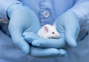 What's Instrumental or Operant Conditioning?