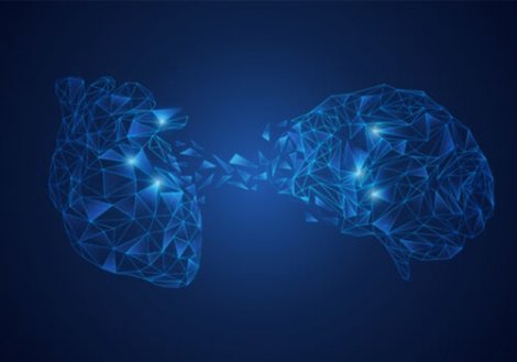 Neurovisceral Integration Model: the Brain-Heart Connection