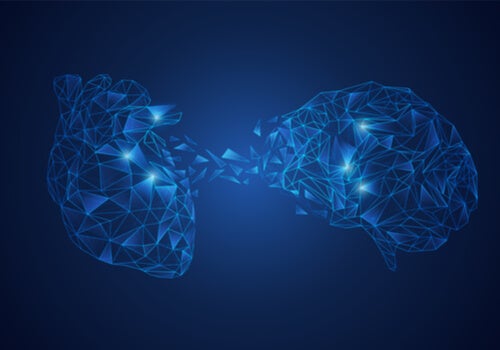 Neurovisceral Integration Model: the Brain-Heart Connection