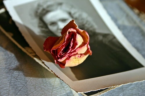 A rose on top of an old photograph.