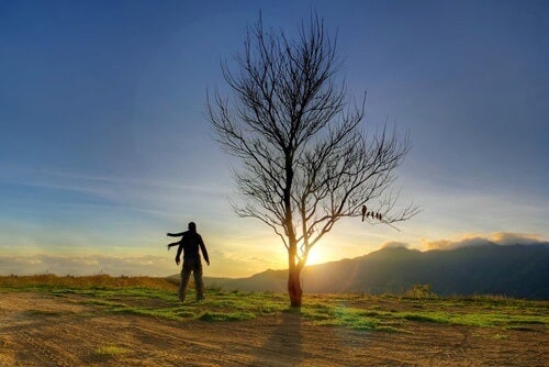The figure of a man watching the sunset.